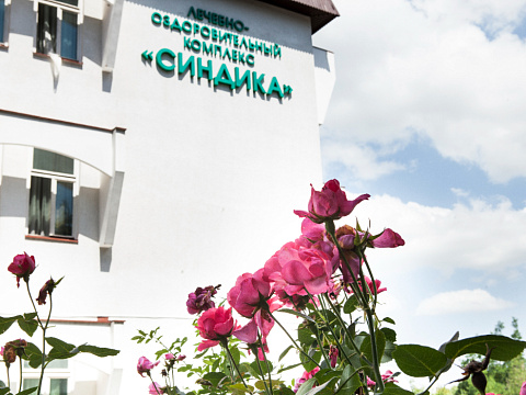 Санаторий «Синдика» г. Нальчик. Территория